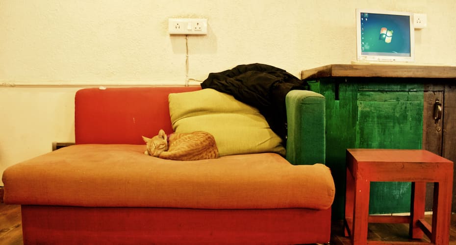 Bed in 4 Bed AC Mixed Dorm with Ensuite Bathroom at Stops Delhi, New Delhi 5